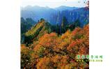 長沙往返張家界、天子山、寶峰湖/黃龍洞三日游