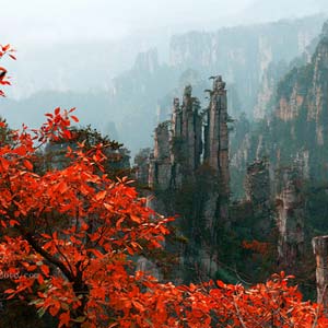 休閑自駕E線：張家界、袁家界、天子山、寶峰湖、鳳凰古城、沱江泛舟四晚五日游